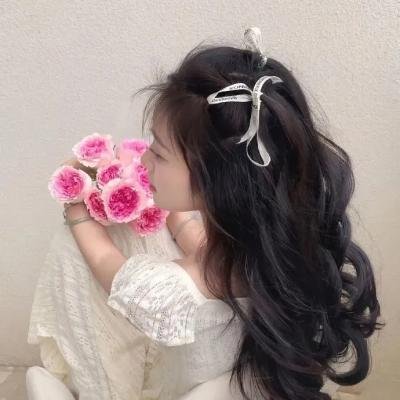 法外风云粤语海报